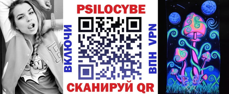 мега   Саров  Псилоцибиновые грибы Cubensis 